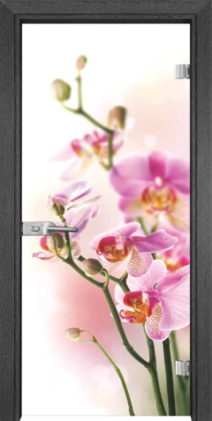 Стъклена врата Gama Print 13-2, Сив кестен