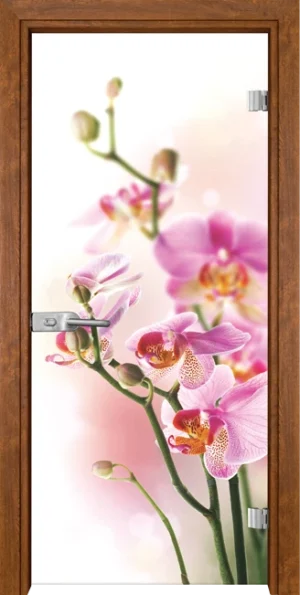 Стъклена врата Gama Print 13-2, Златен дъб