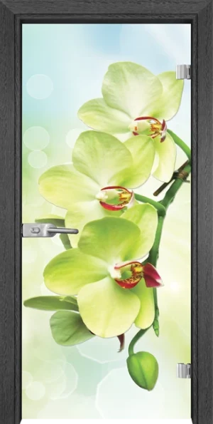 Стъклена врата Gama Print 13-3 Green, Сив кестен