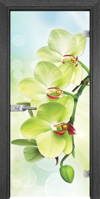 Стъклена врата Gama Print 13-3 Green, Сив кестен