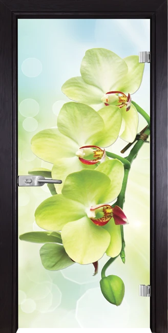Стъклена врата Gama Print 13-3 Green, Венге