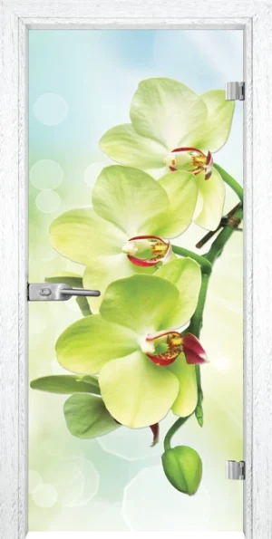 Стъклена врата Gama Print 13-3 Green, Бреза