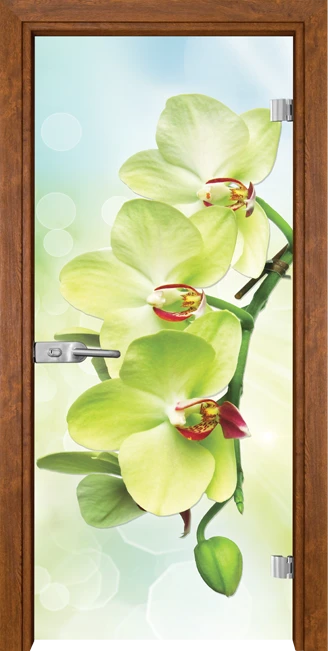 Стъклена врата Gama Print 13-3 Green, Златен дъб