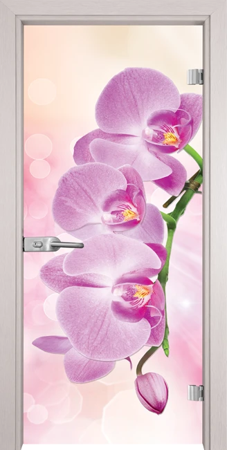 Стъклена врата Gama Print 13-3 Pink, Перла