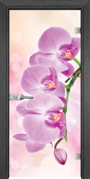 Стъклена врата Gama Print 13-3 Pink, Сив кестен