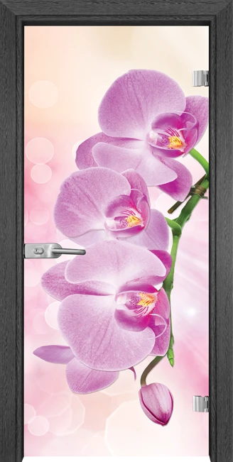 Стъклена врата Gama Print 13-3 Pink, Сив кестен