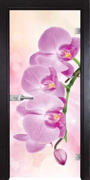 Стъклена врата Gama Print 13-3 Pink, Венге