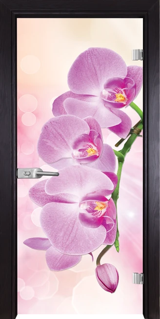 Стъклена врата Gama Print 13-3 Pink, Венге