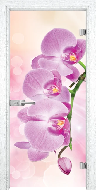 Стъклена врата Gama Print 13-3 Pink, Бреза