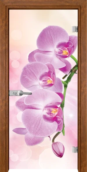 Стъклена врата Gama Print 13-3 Pink, Златен дъб