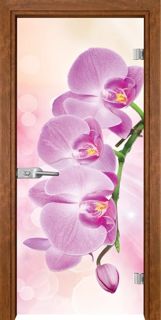 Стъклена врата Gama Print 13-3 Pink, Златен дъб