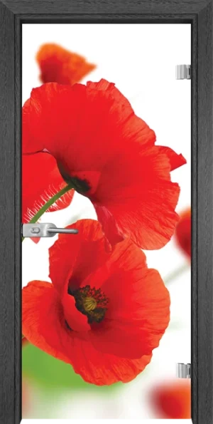 Стъклена врата Gama Print 13-8, Сив кестен