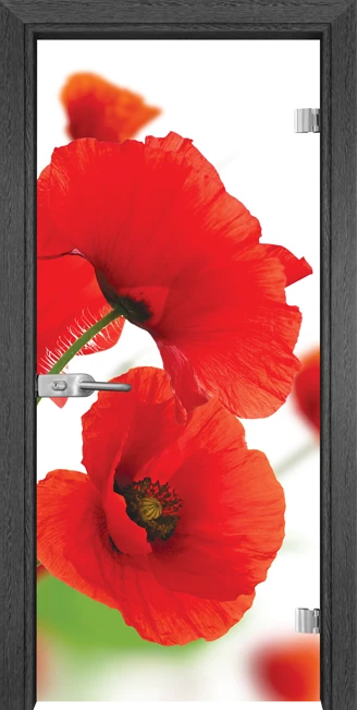 Стъклена врата Gama Print 13-8, Сив кестен